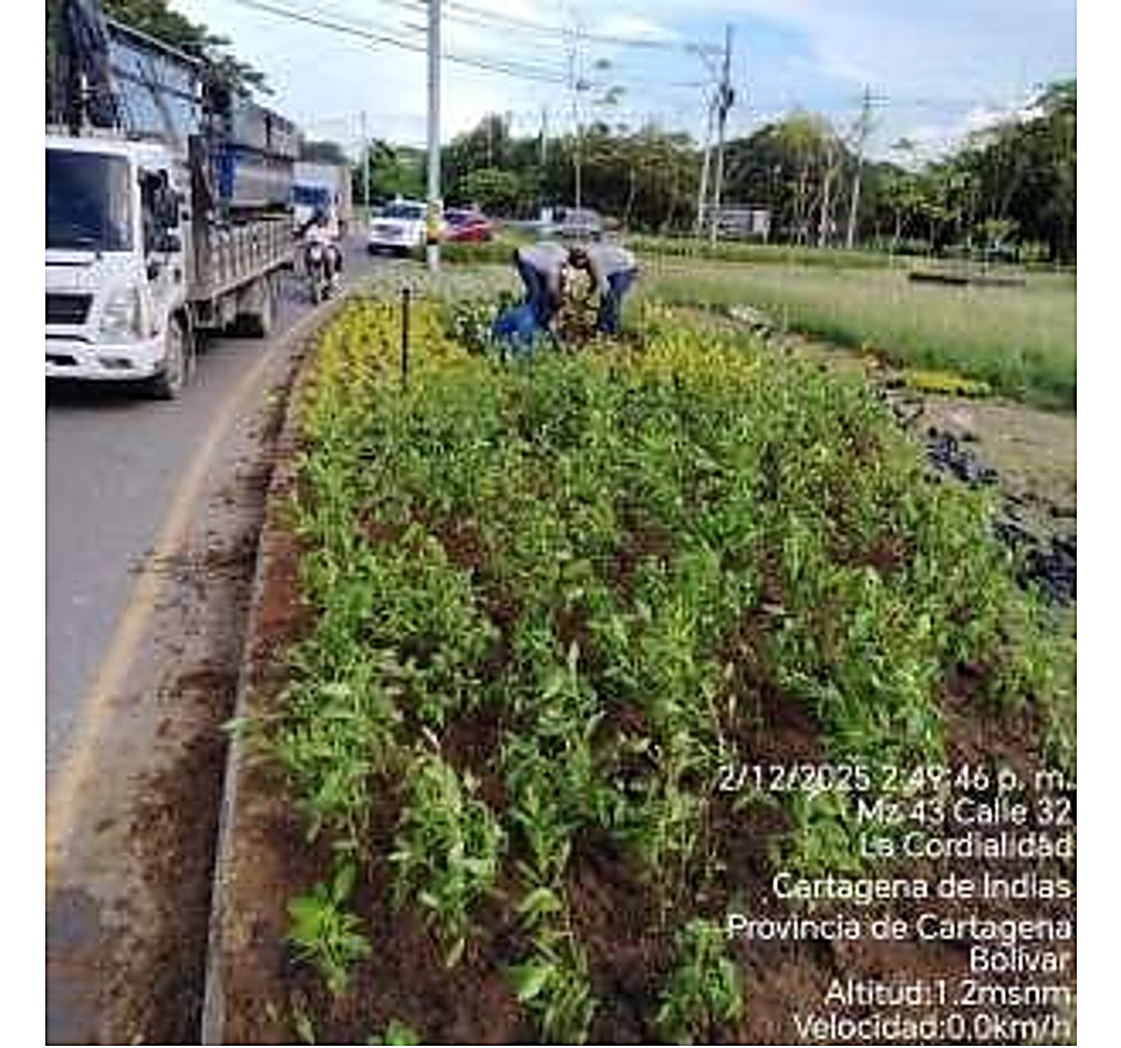 Pozo de siembra en construcción en obra de urbanismo