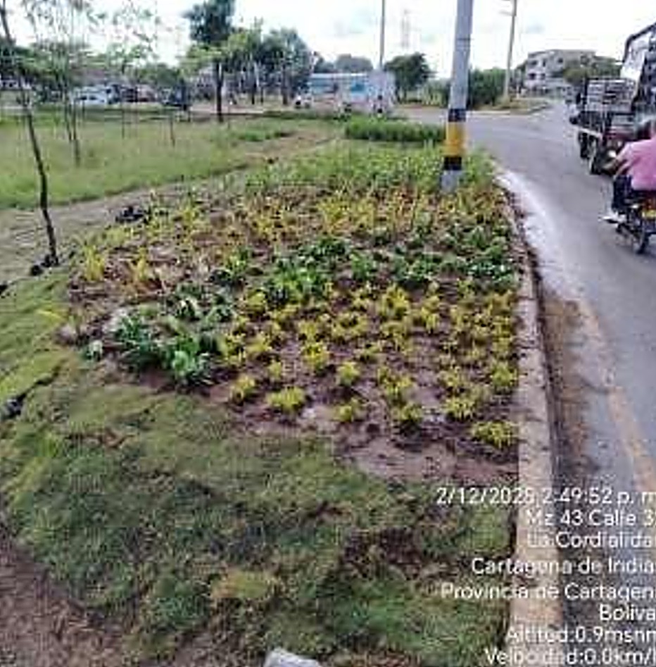 Avance de pozo de siembra en obra de urbanismo