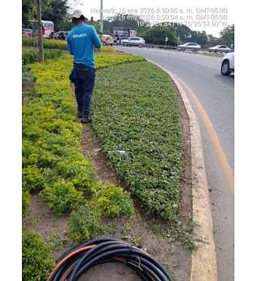 Pozo de siembra terminado en obra de urbanismo