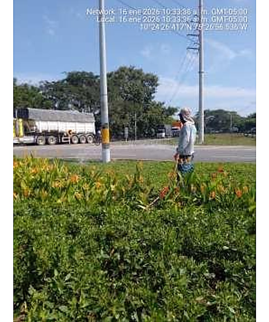 Vista del pozo de siembra en obra de urbanismo
