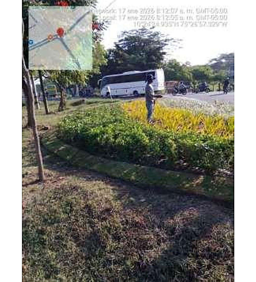 Pozo de siembra en zona verde de obra de urbanismo